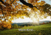 Evolution  Theorie oder Fakt? Zufall oder Gott?  - 